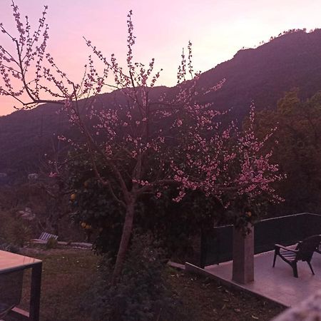 Casinhas Da Lu Διαμέρισμα Geres Εξωτερικό φωτογραφία